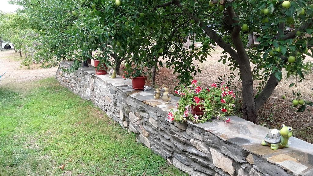 Studios Elianthos Skala Kallirachis Exterior foto